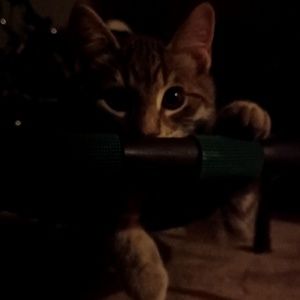 Meet your Posher, Jakob